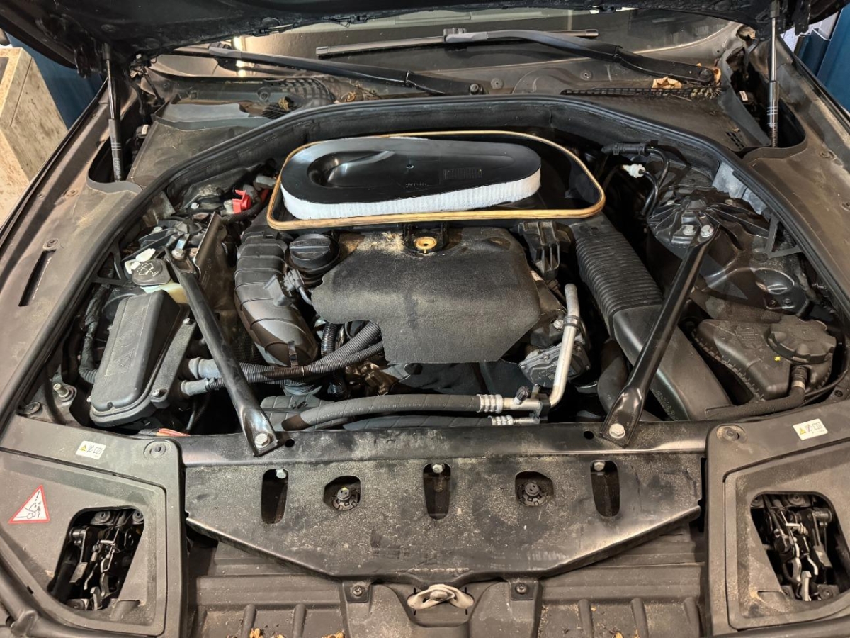 T11