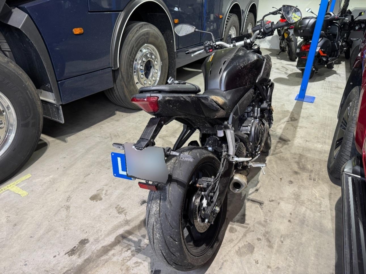 T5