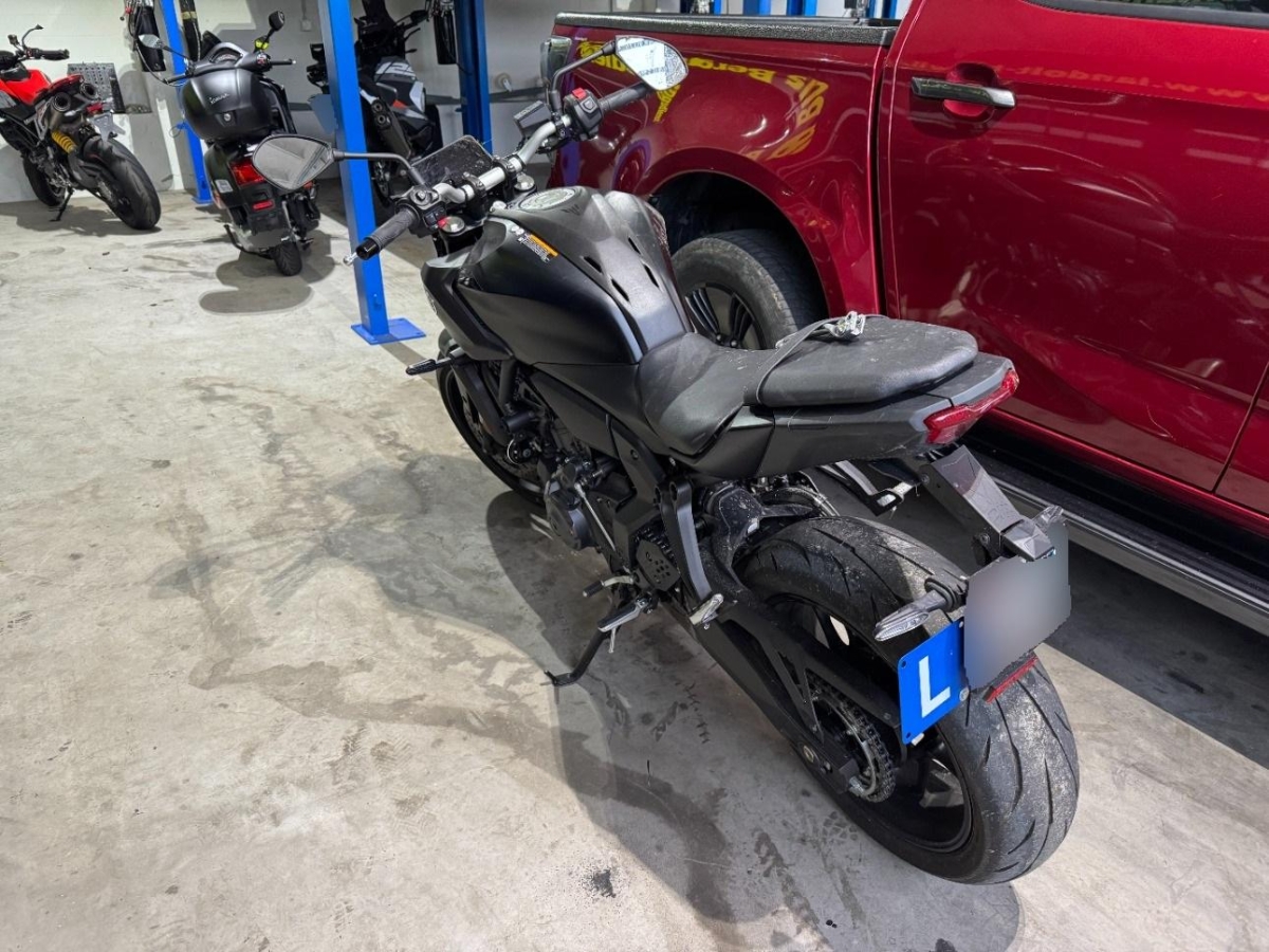 T6