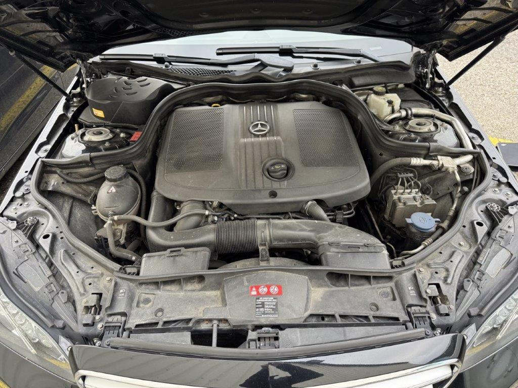 T13