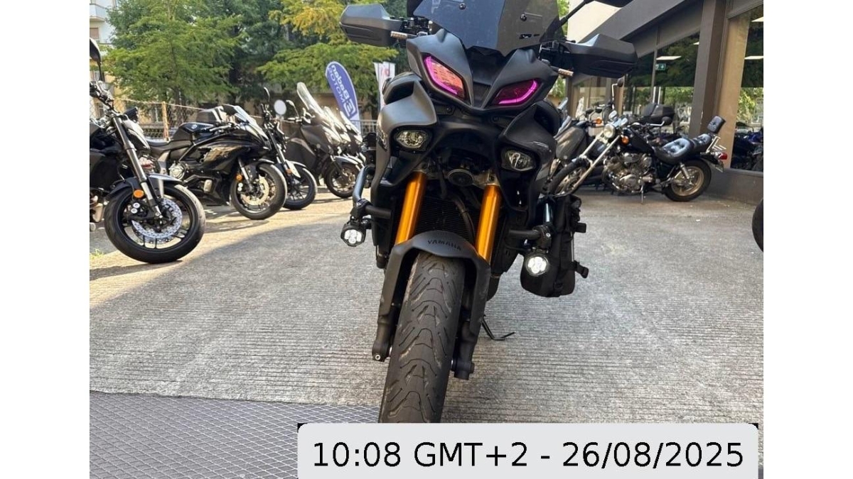 T19