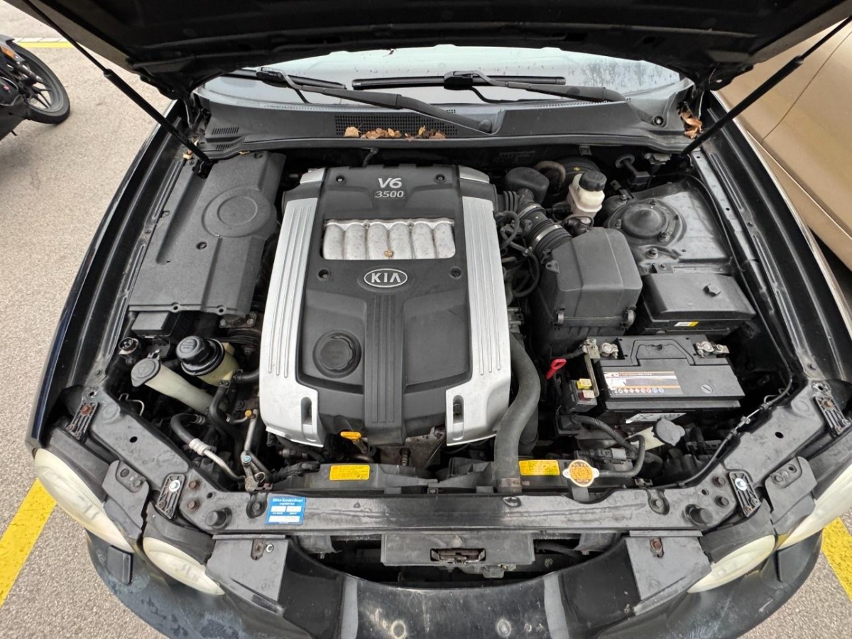 T11