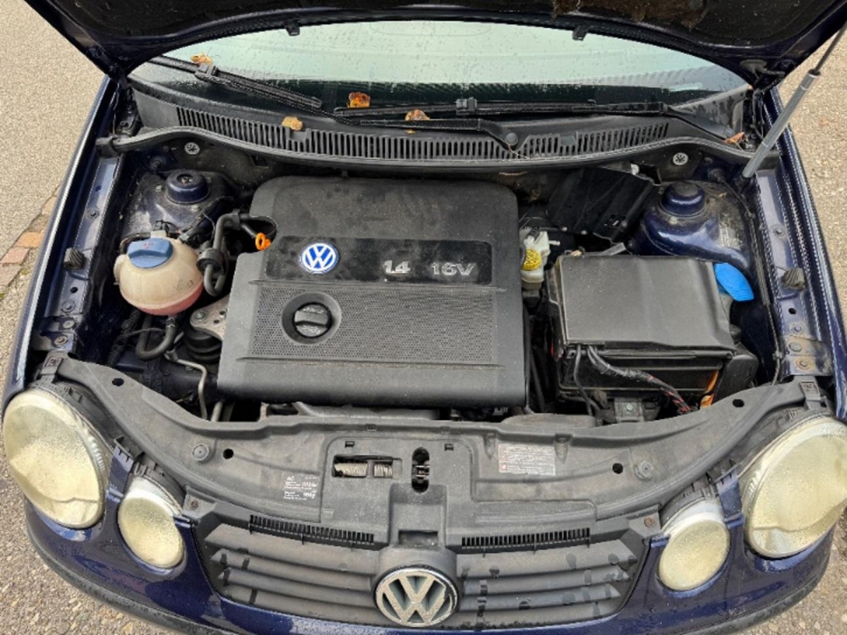T16