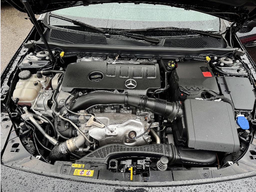 T11