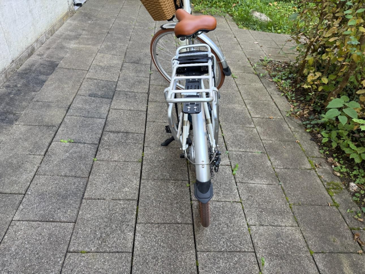 T6