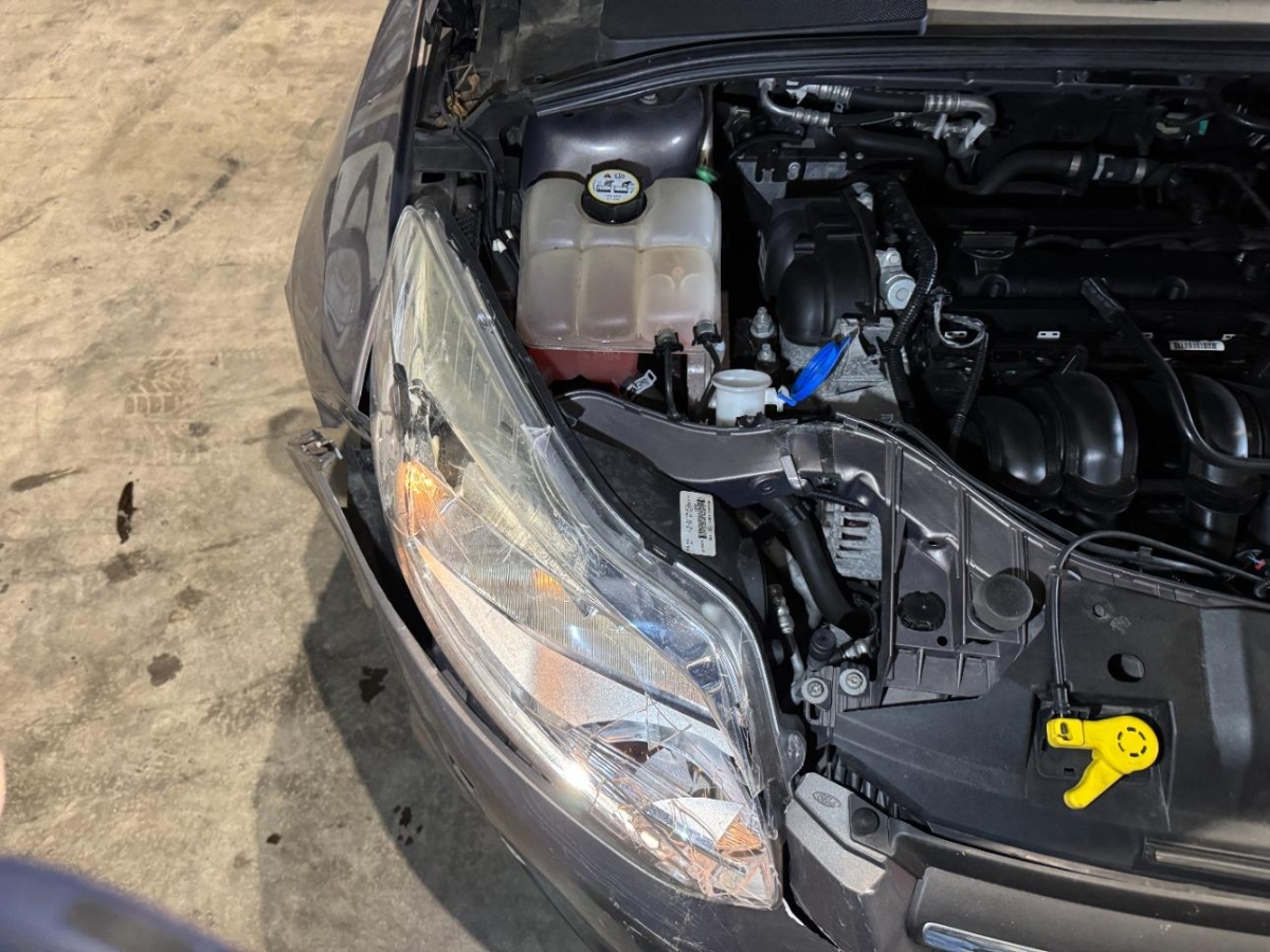 T16
