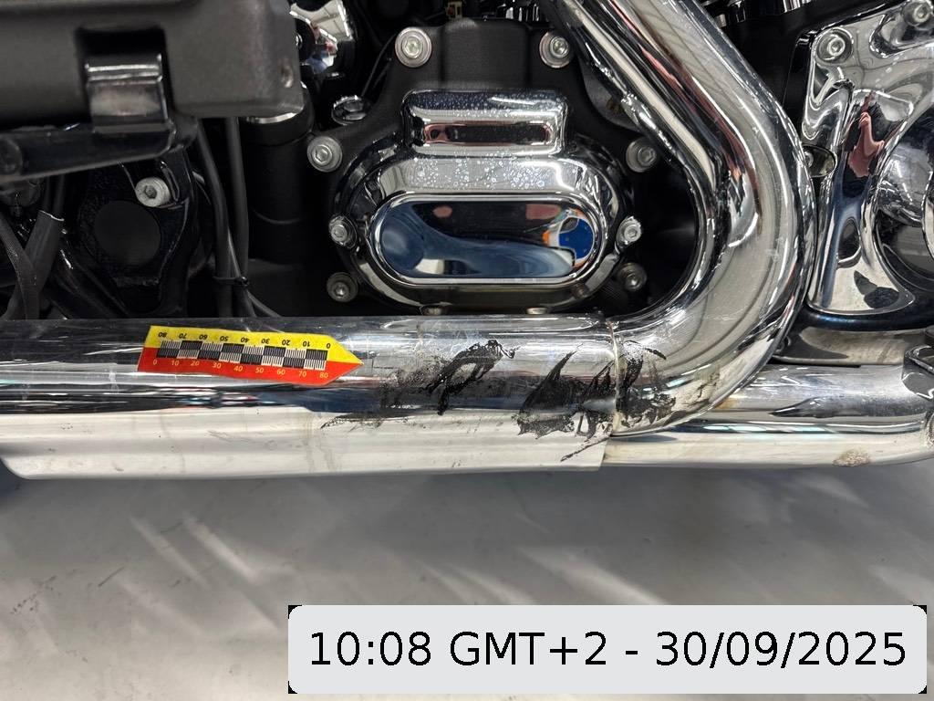 T11