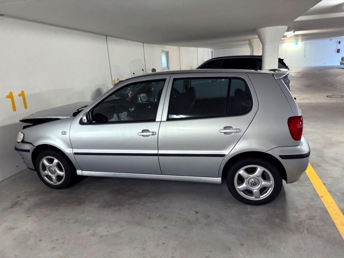 T5