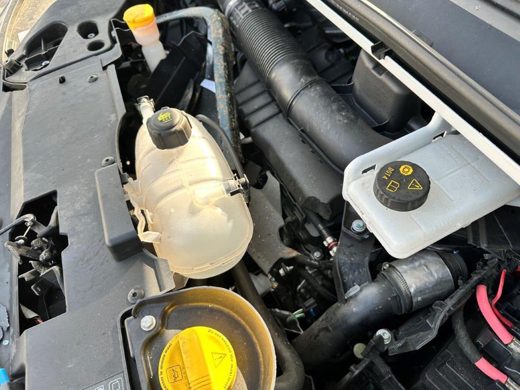 T8