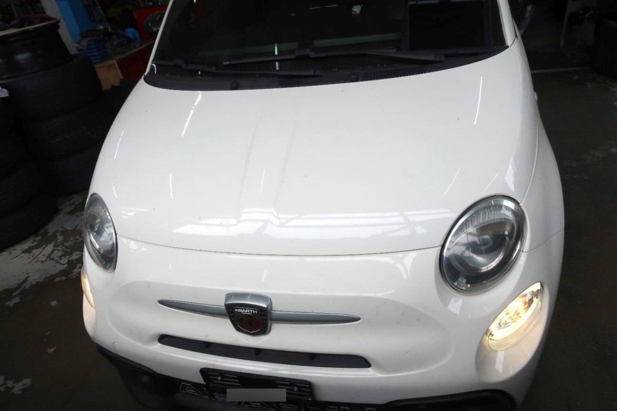T6