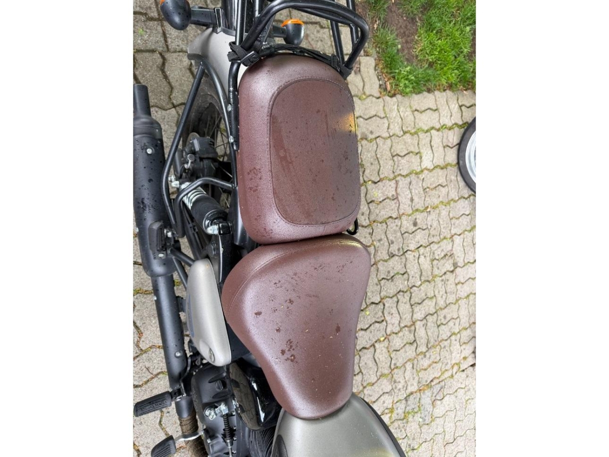 T6