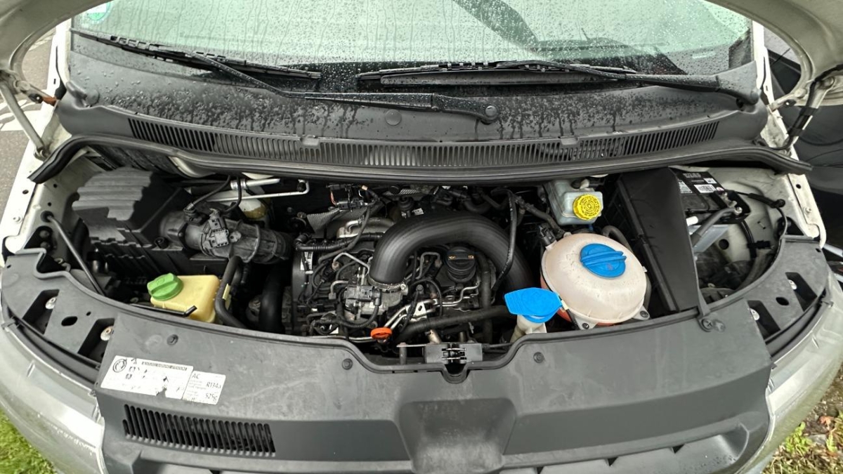 T11