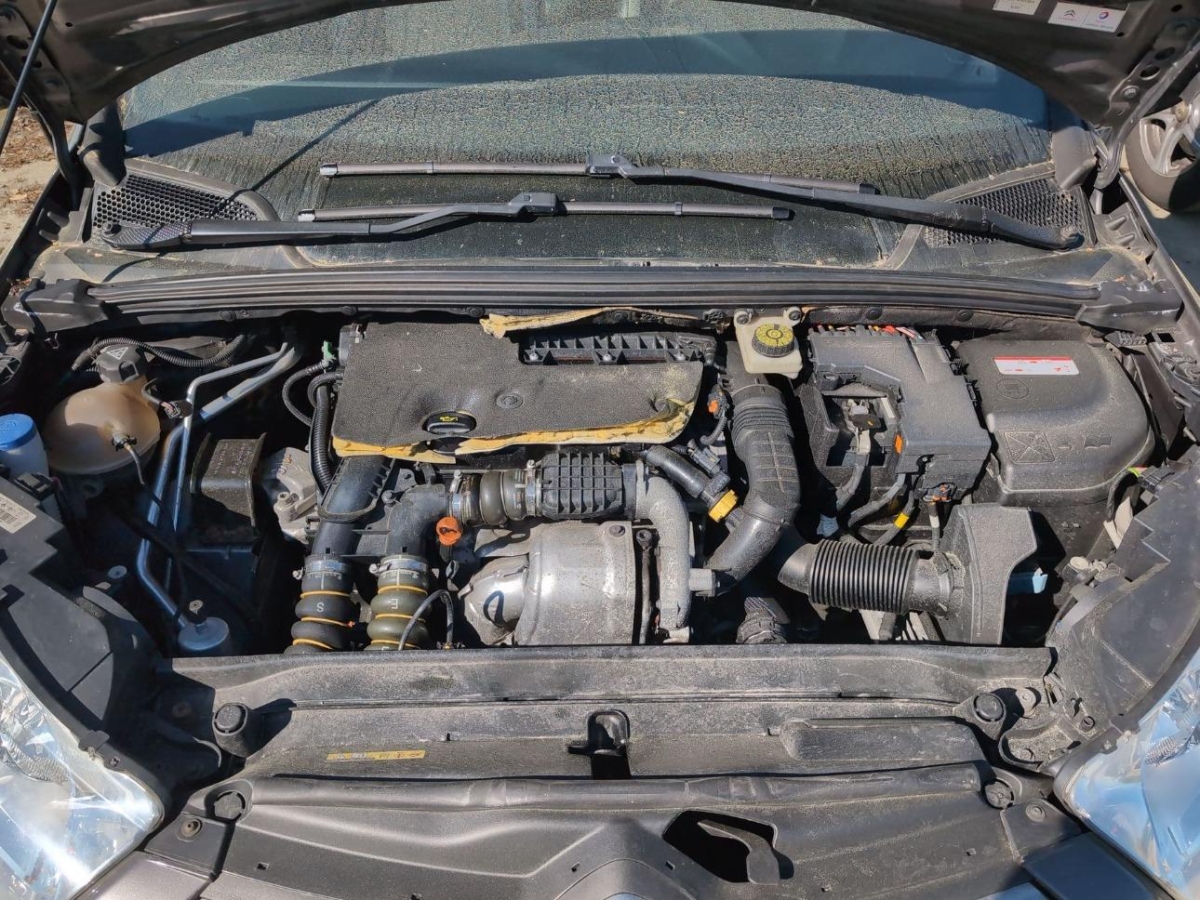 T11
