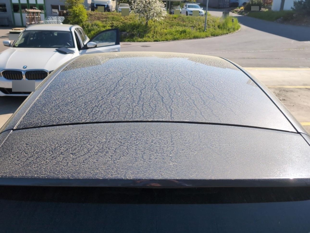 T16