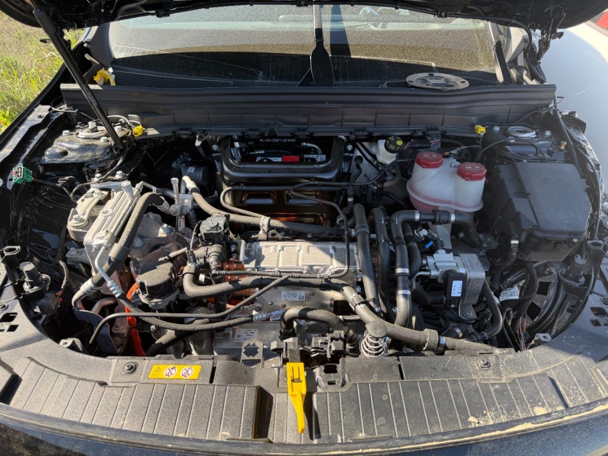 T14