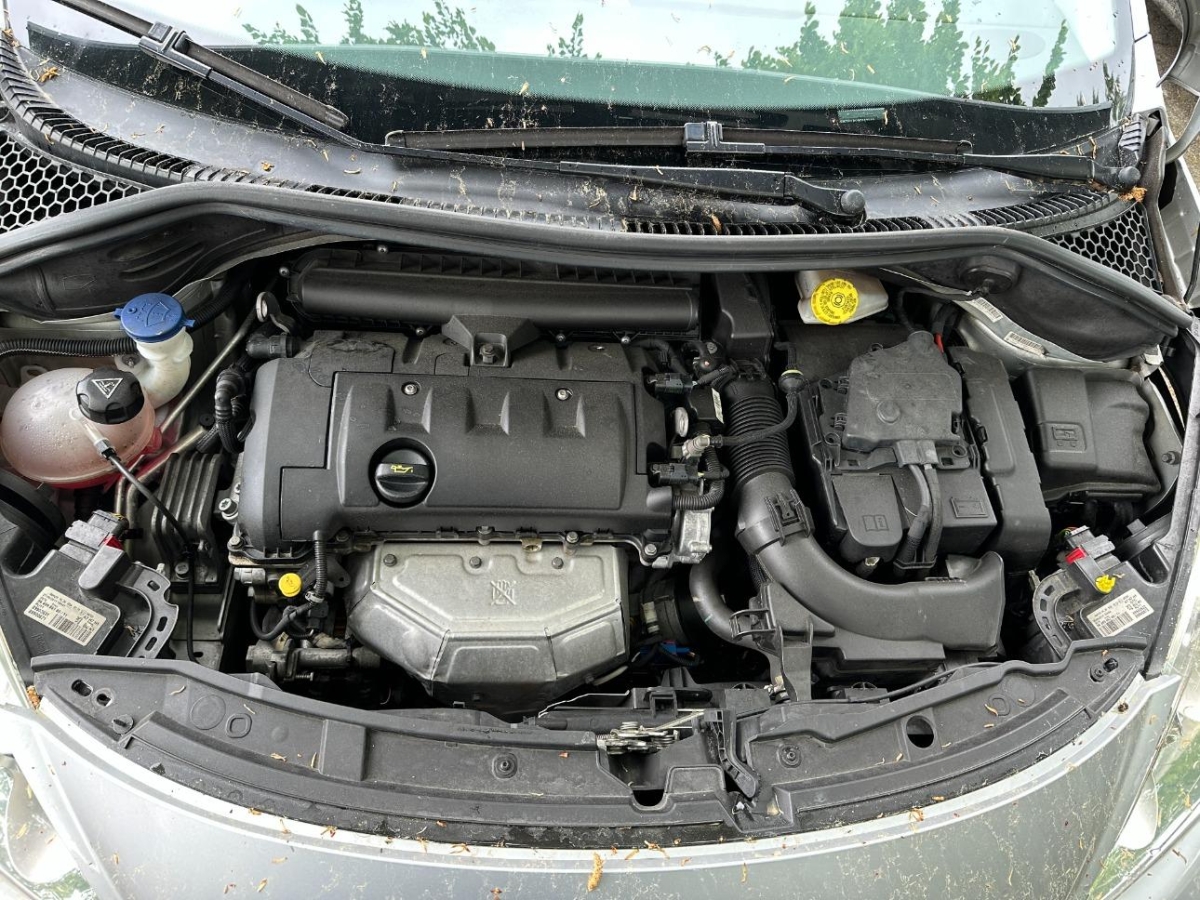 T13