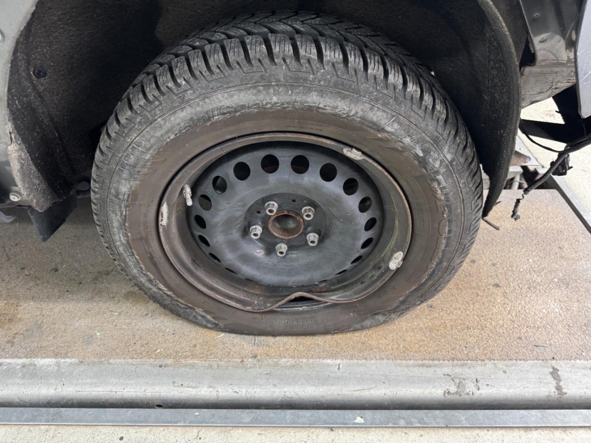 T19