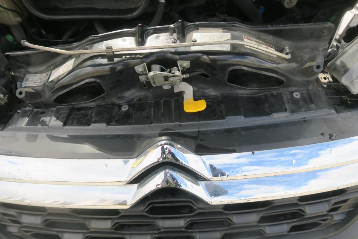 T9