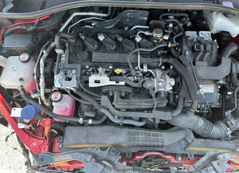 T6