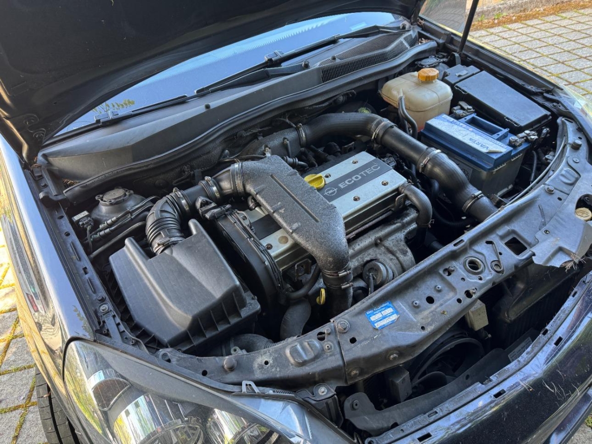 T12