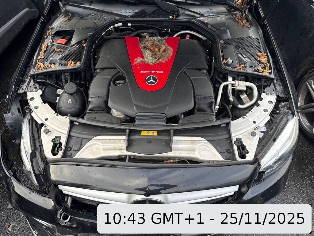 T12