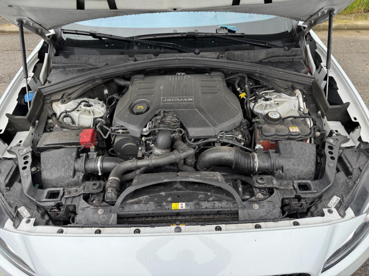 T13