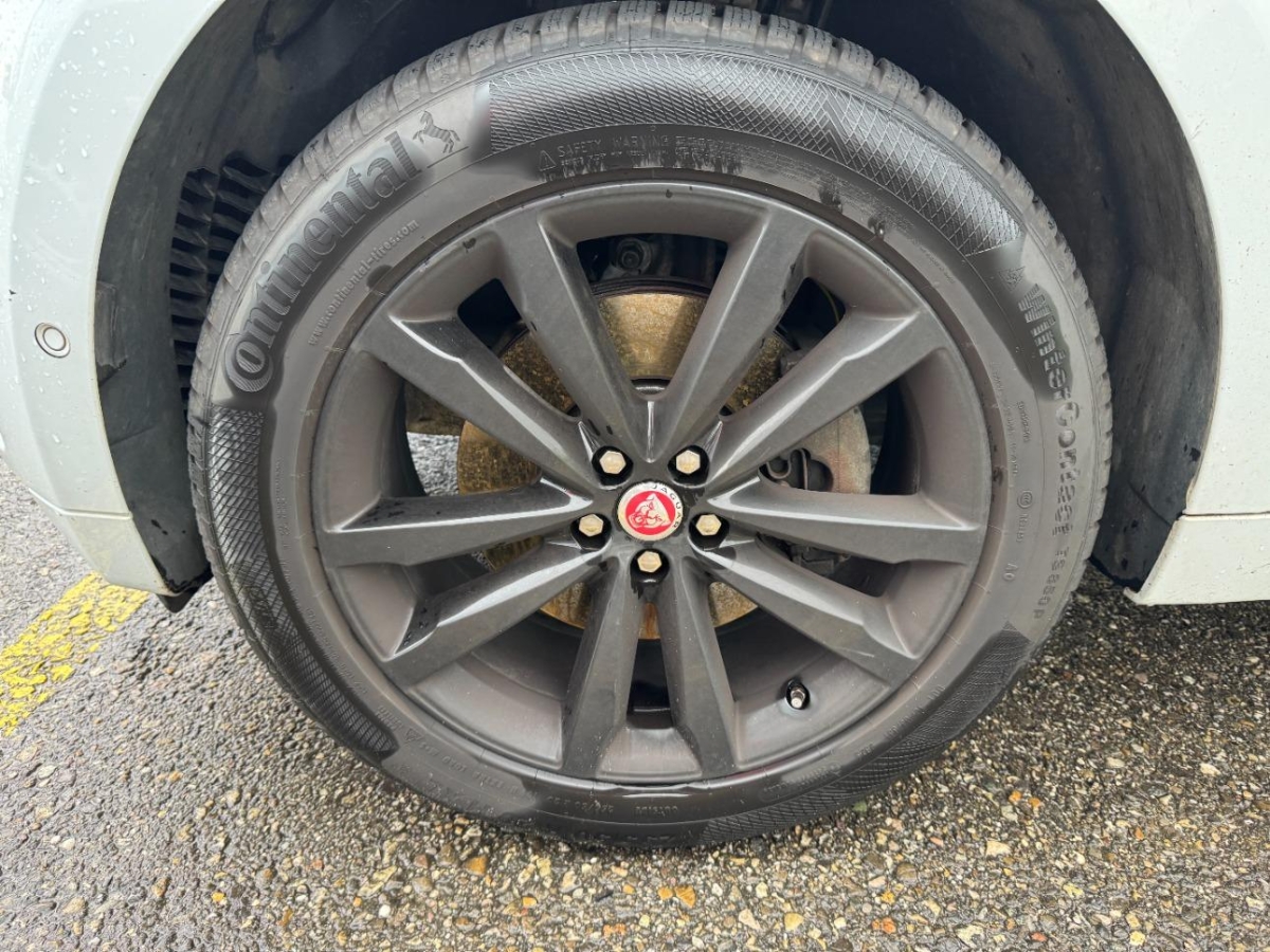 T19