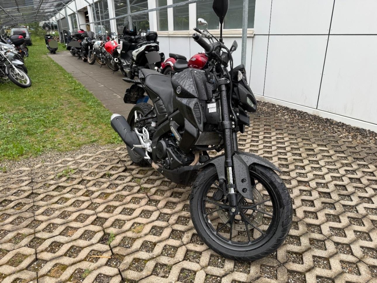 T3