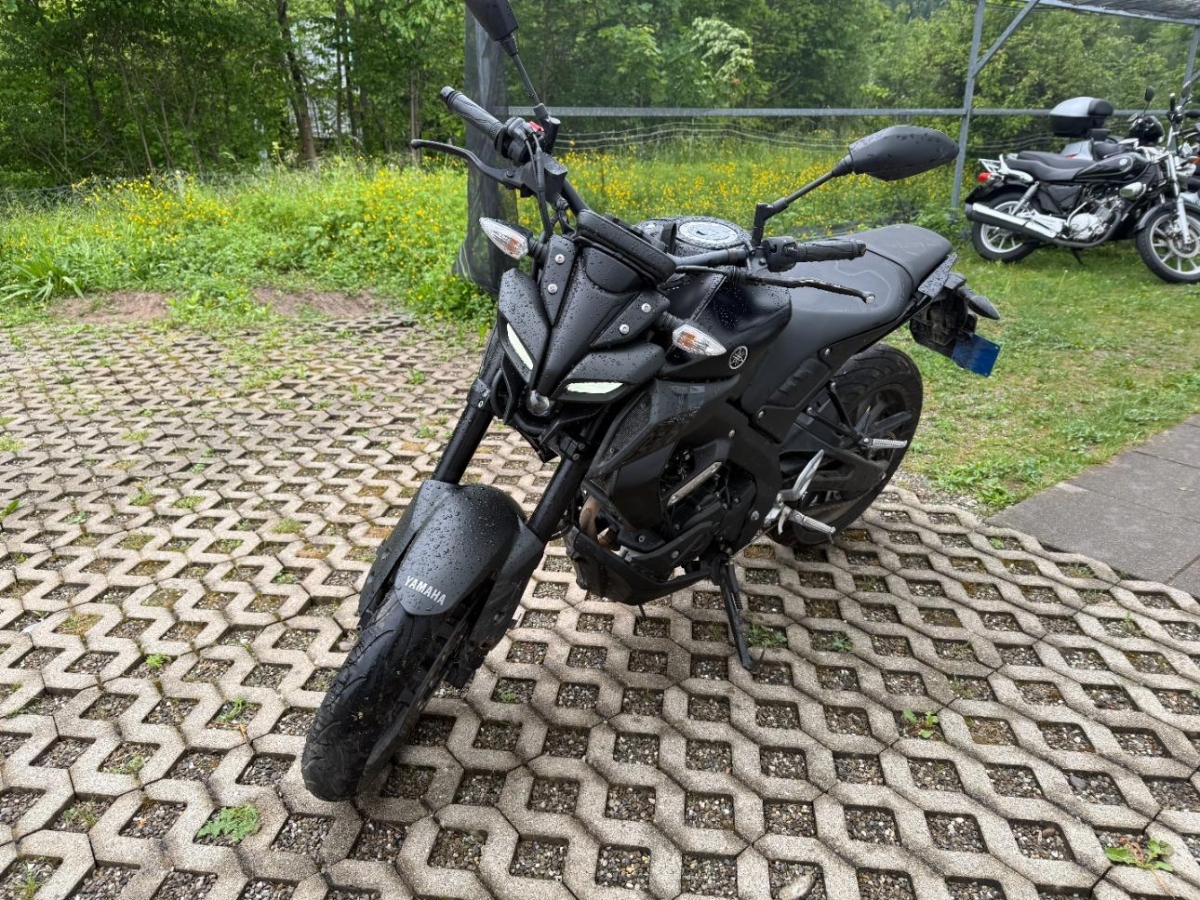 T4