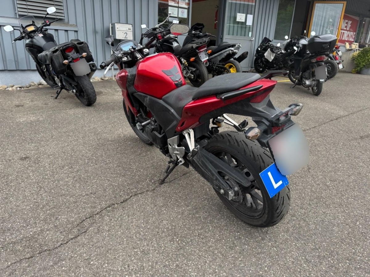 T5