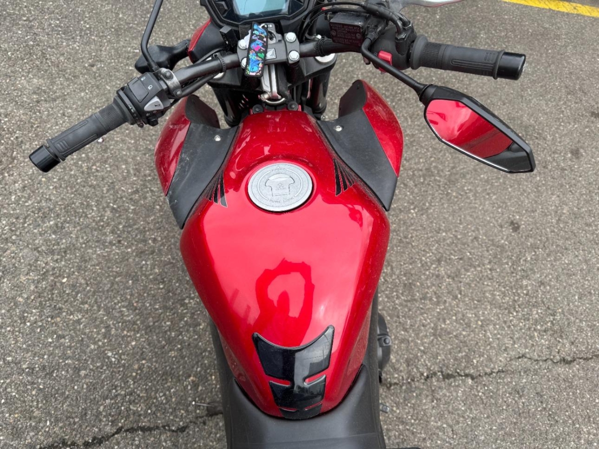 T6