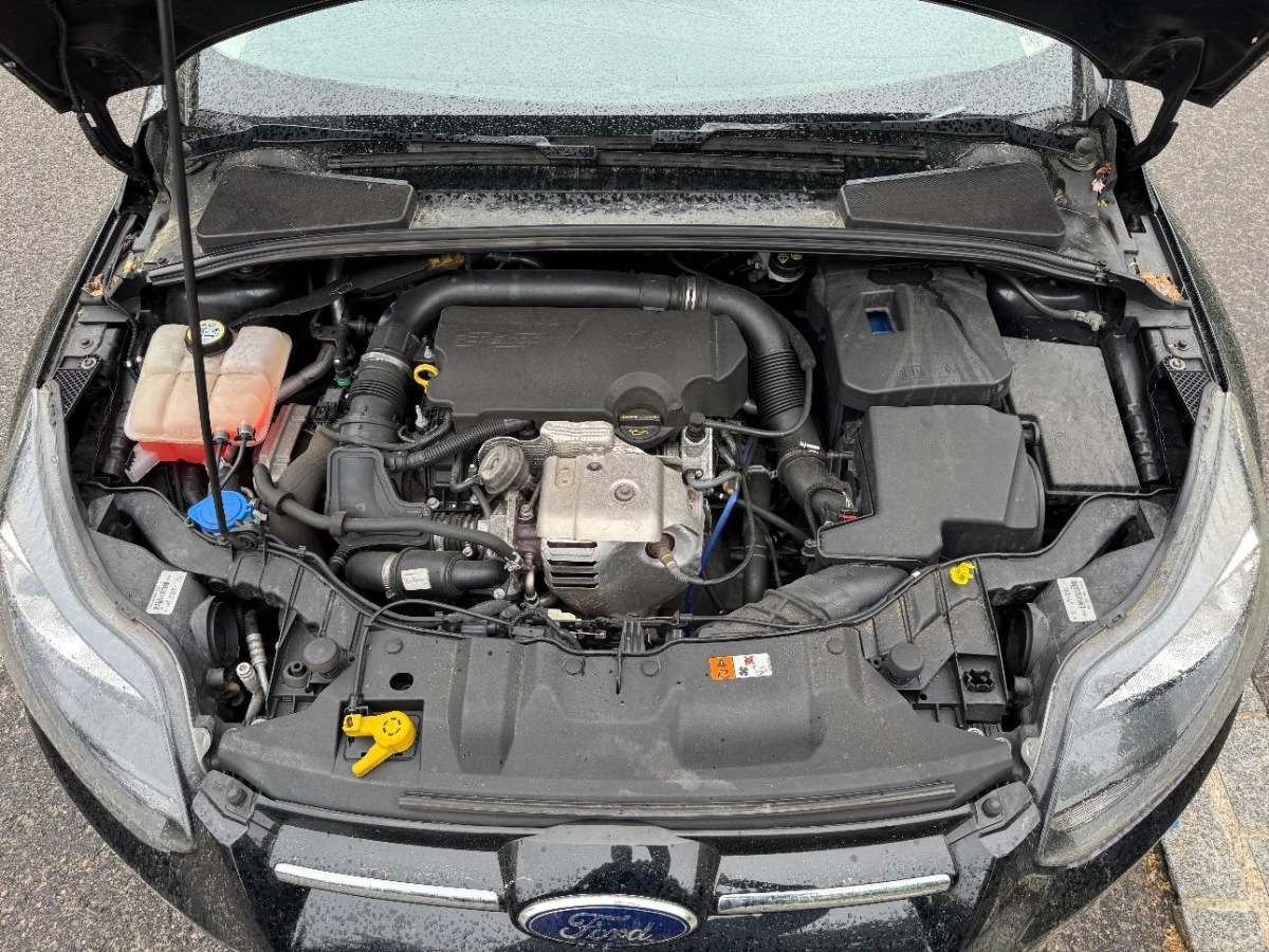T11