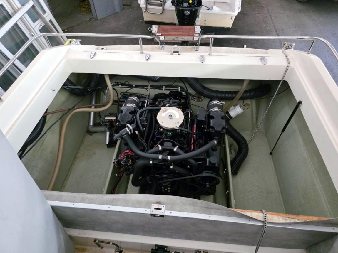 T19