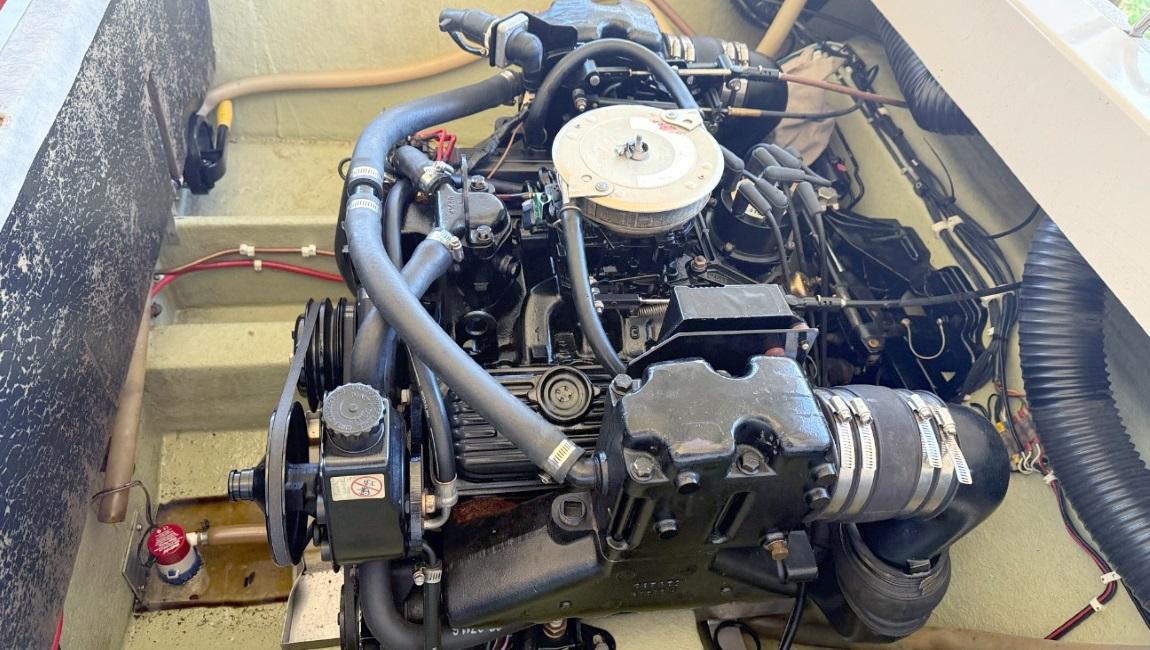 T20