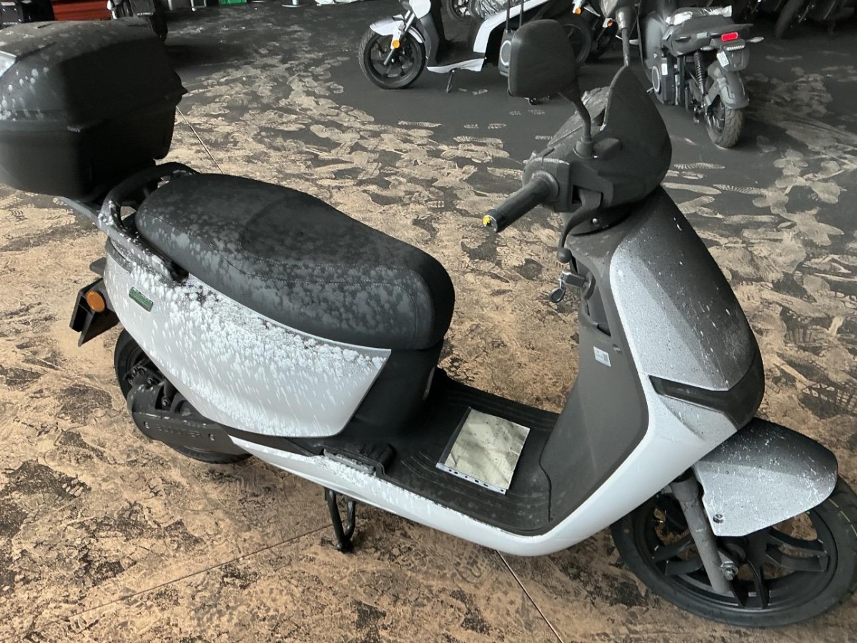 T6