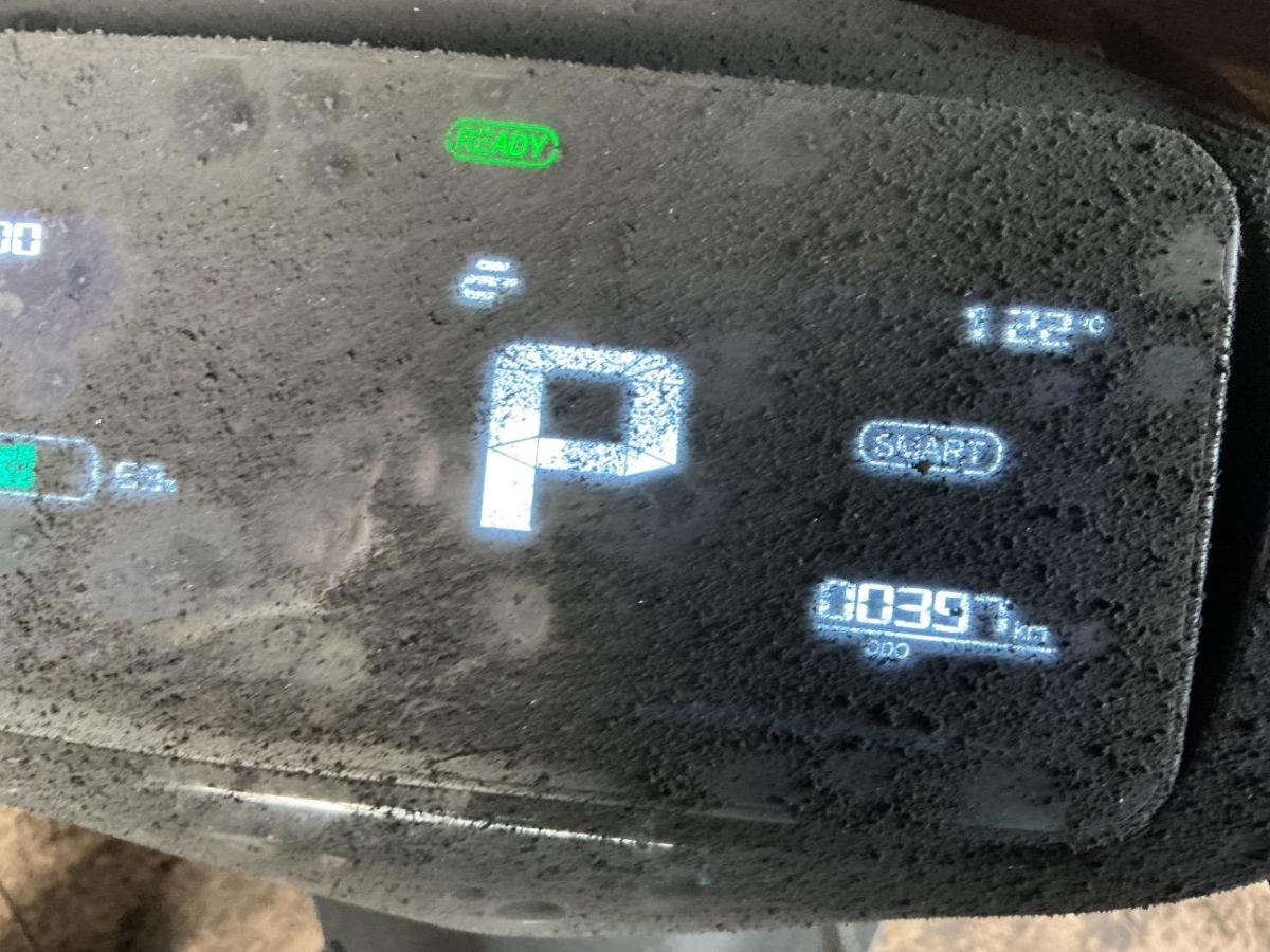 T7