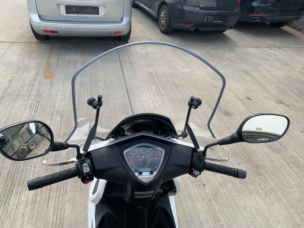 T6