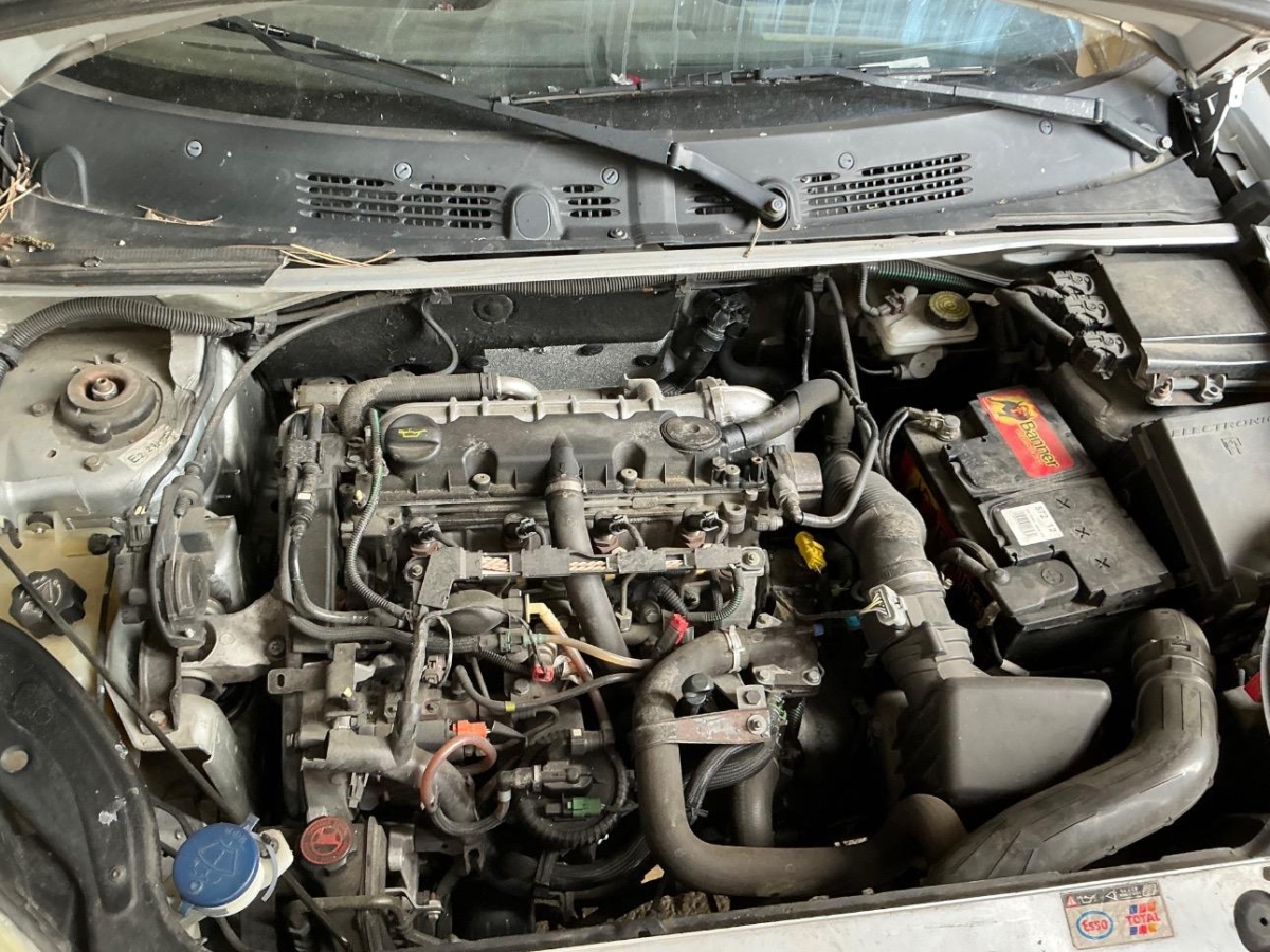T14