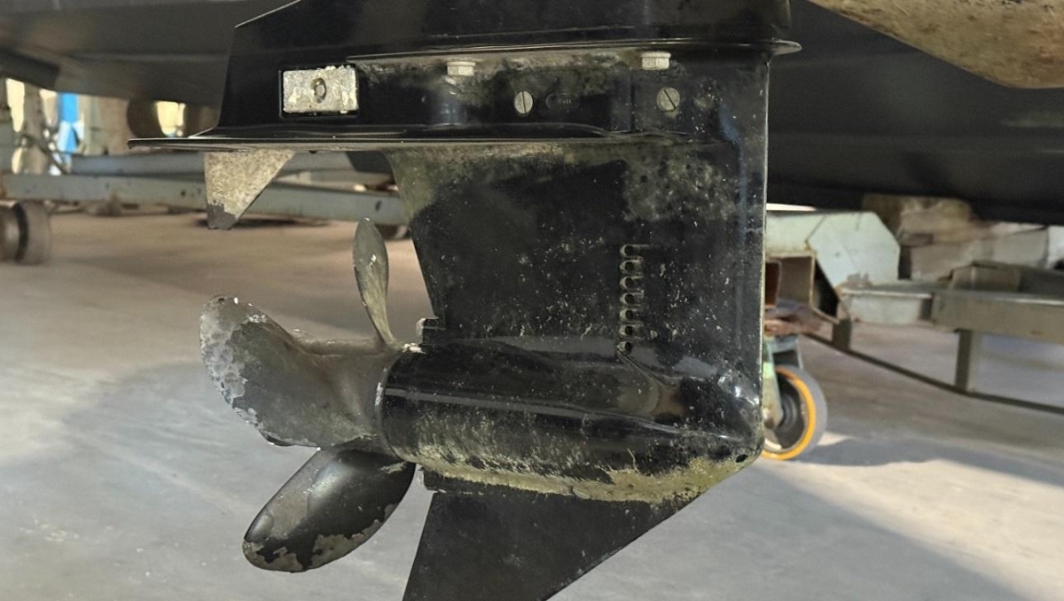 T19