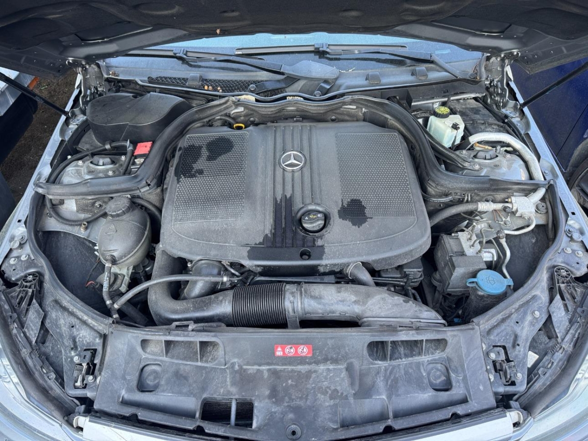 T13