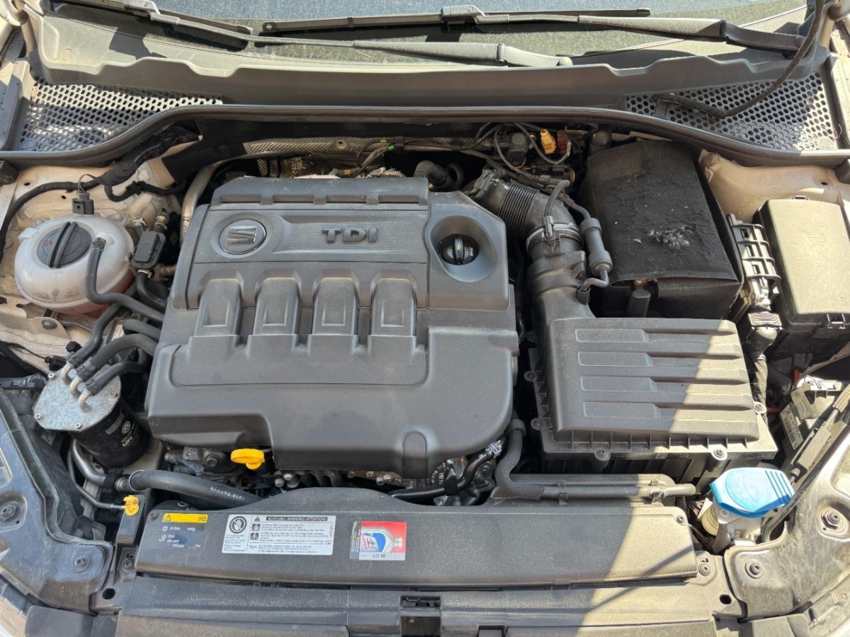 T8