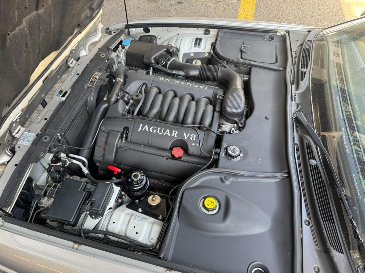 T12