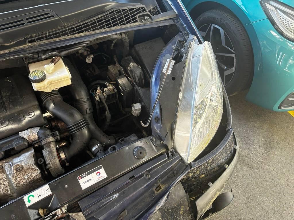 T12