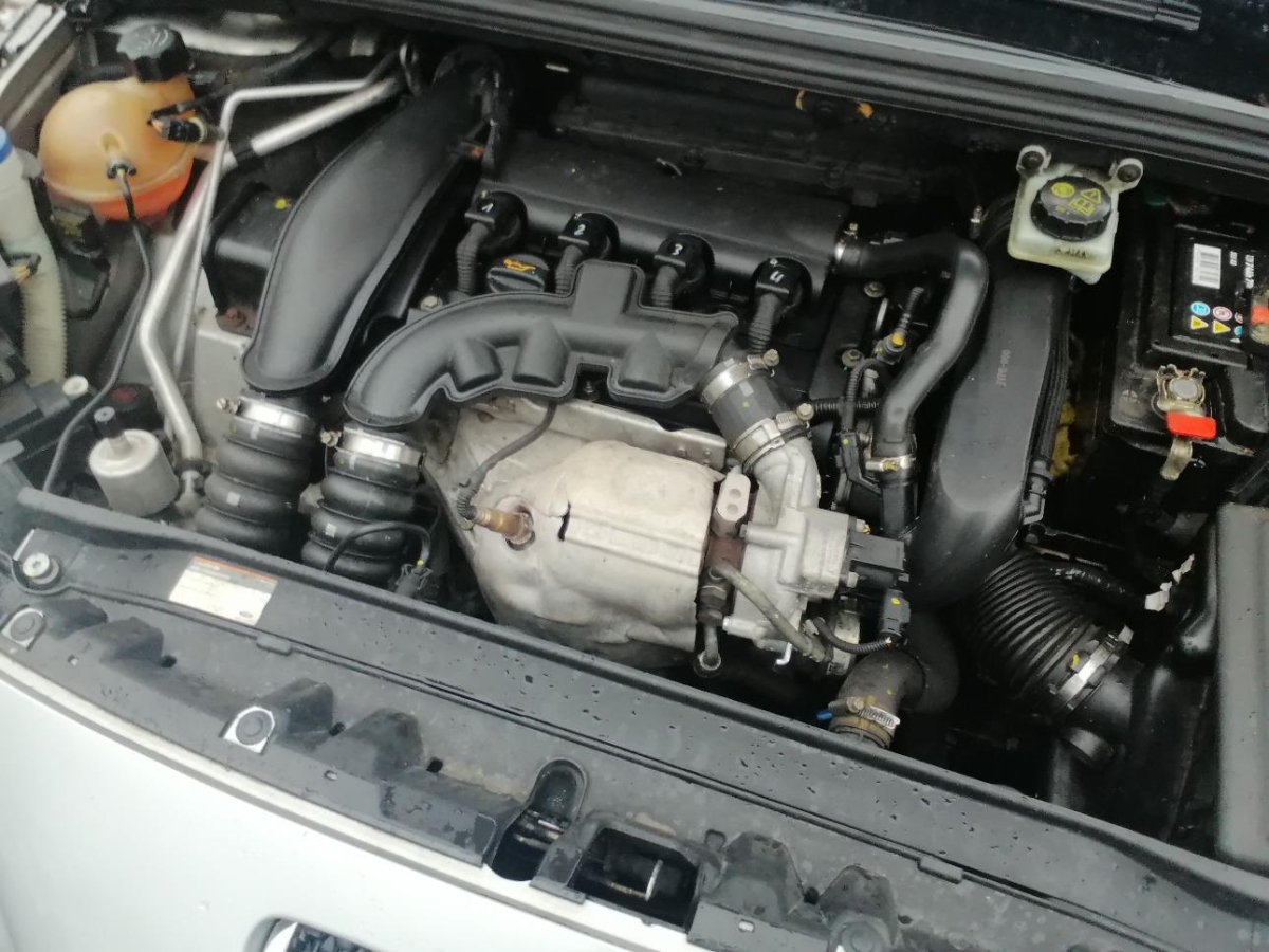 T12
