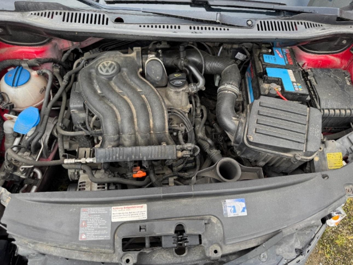 T11