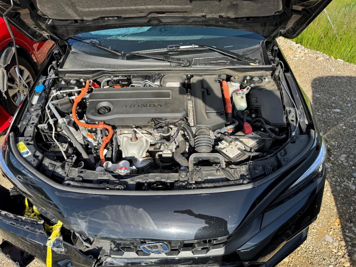 T13