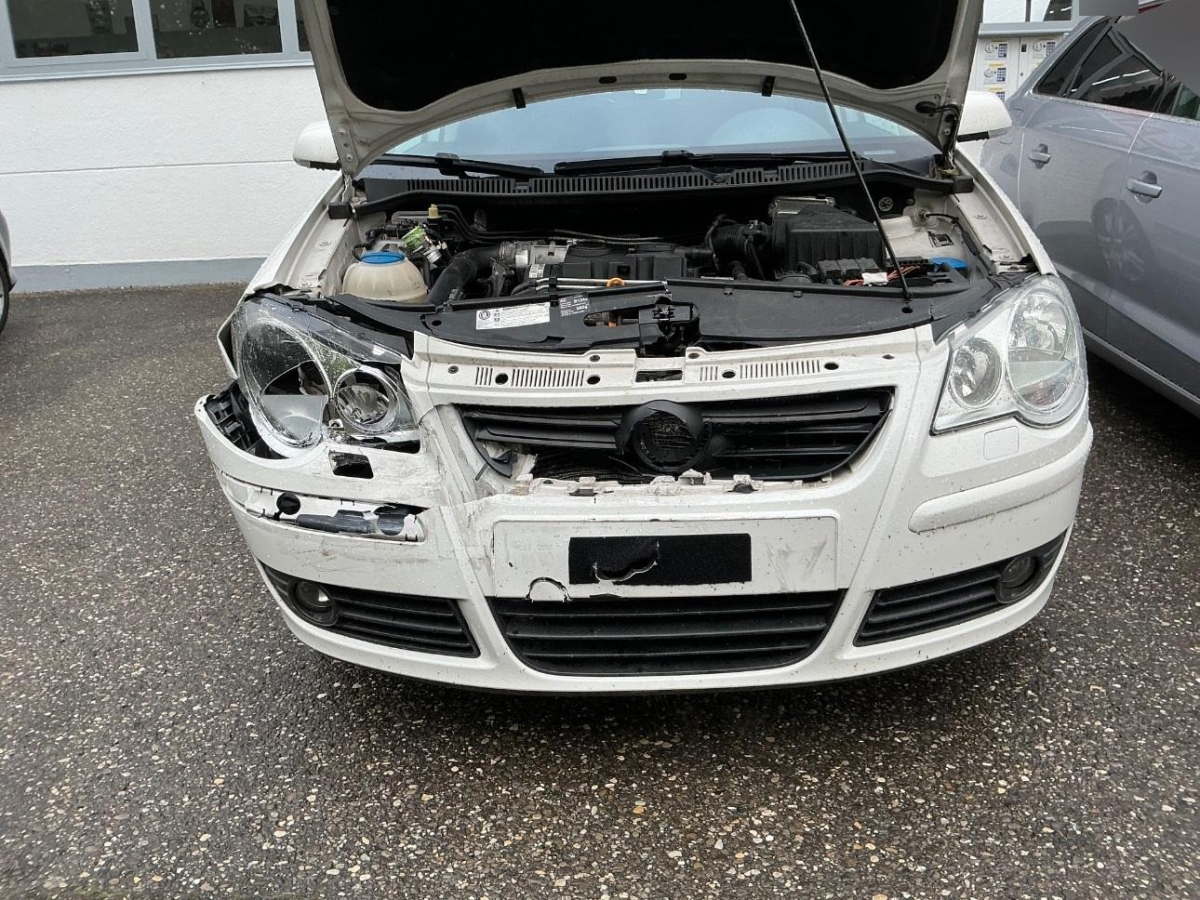 T6