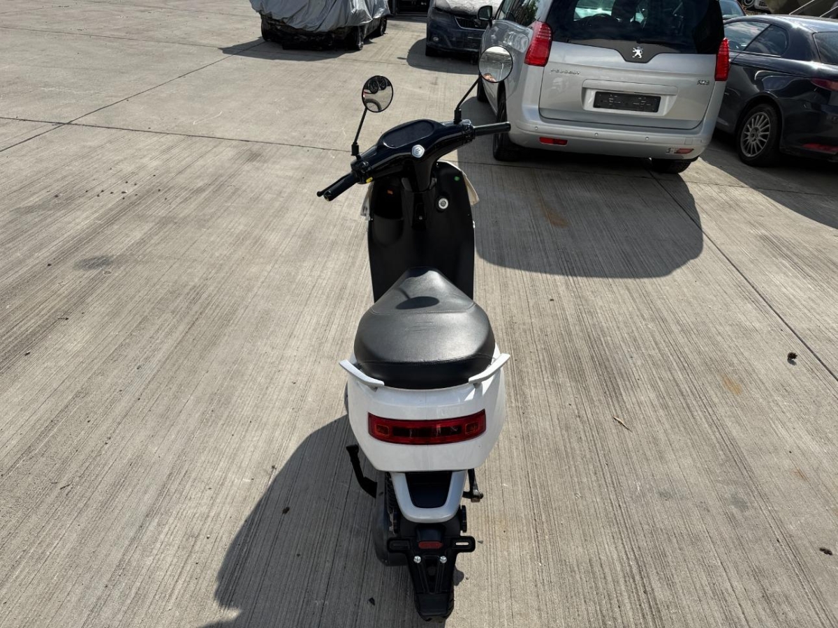 T5