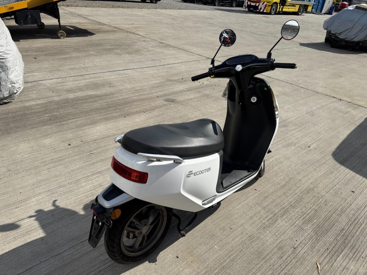 T6