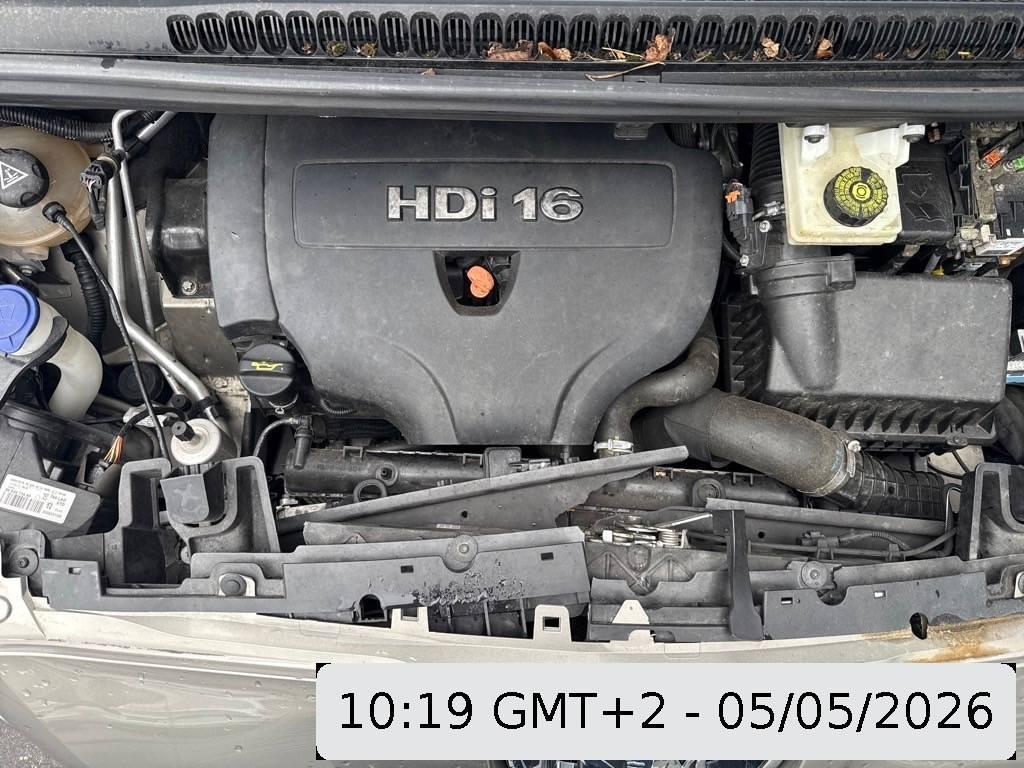 T11
